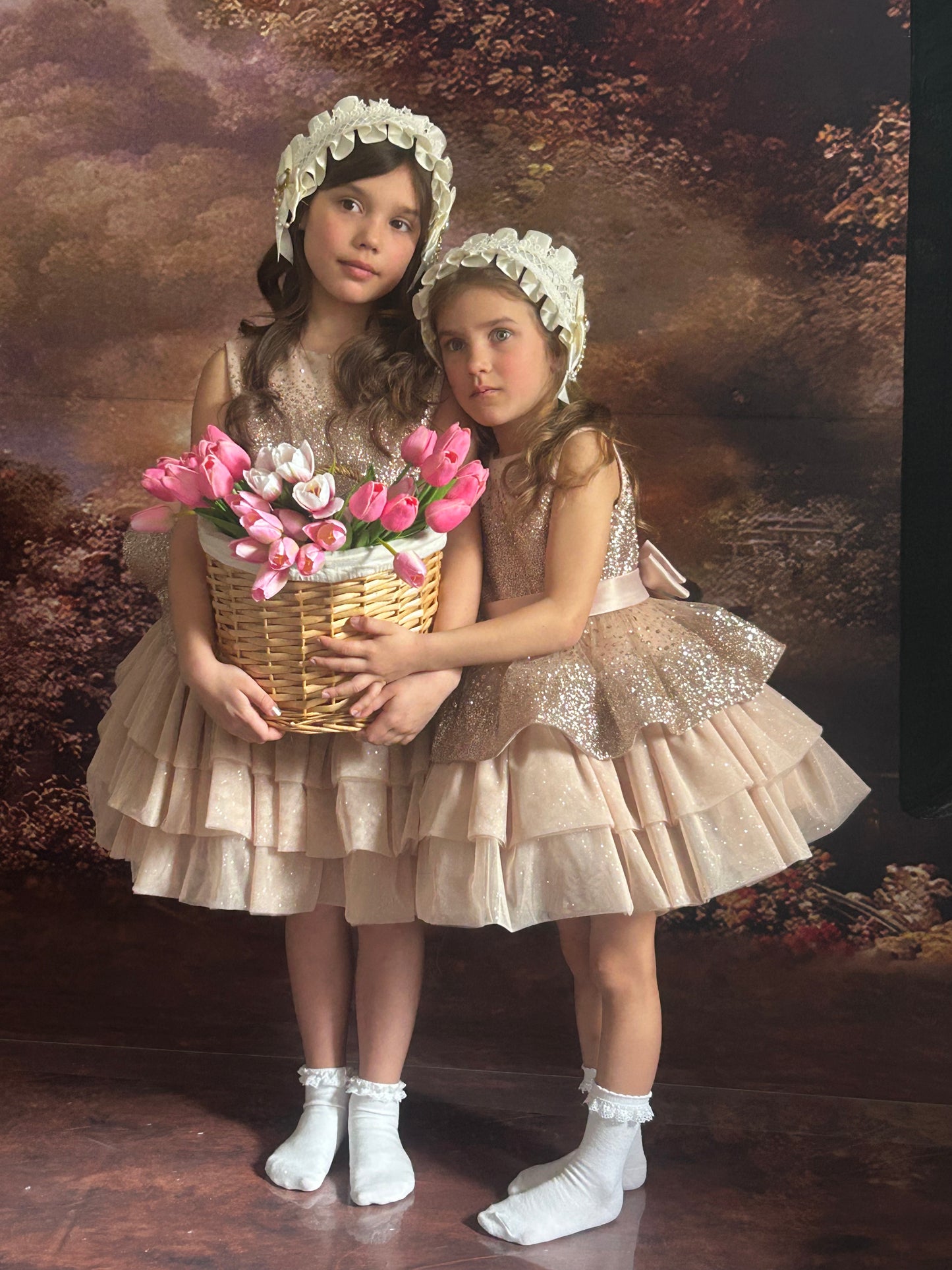 Party dress / Flower girl dress